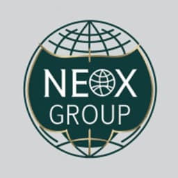 NEOX Development Services Group logo