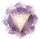 RegenAI logo