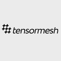 Tensormesh logo