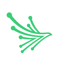 Black Kite logo